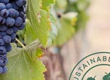 united-kingdom/norwich/attraction/chet-valley-vineyard