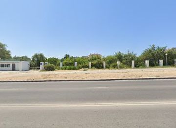 kazakhstan/mangystau-peninsula/attraction/mangyshlakskiy-eksperimental-nyy-botanicheskiy-sad