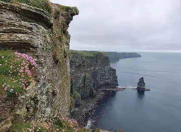 Pollboy Lookout