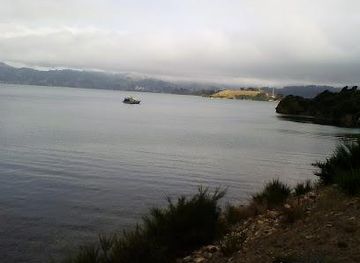 new-zealand/dunedin/attraction/portobello