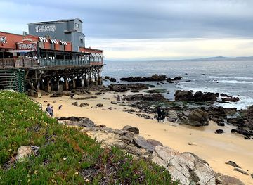 california/carmel-by-the-sea/attraction/mcabee-beach
