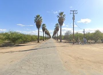 california/bakersfield/attraction/cross-of-palms