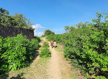 kenya/malindi/attraction/mayungu-kenya