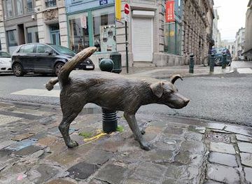 belgium/mechelen/attraction/zinneke-pis