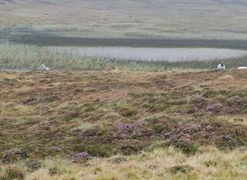 ireland/slieve-league-cliffs/attraction/pilgrim-s-path-start-point