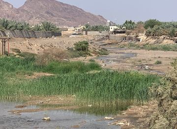 saudi-arabia/medina/attraction/wadi-qana