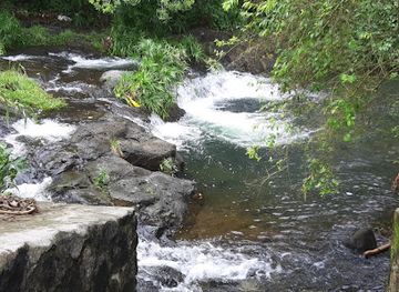 mauritius/trou-aux-cerfs/attraction/froberville-lane
