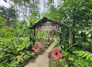 malaysia/kinabalu-national-park/attraction/adenna-rafflesia-garden-poring-sabah