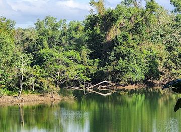 philippines/national-capital-region-ncr/attraction/la-mesa-nature-reserve