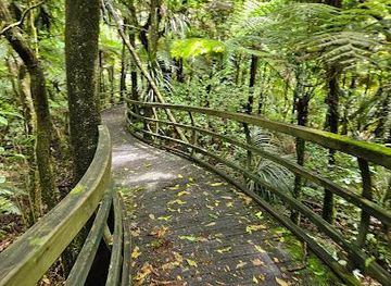 new-zealand/paihia/attraction/kauri-walk-puketi-forest
