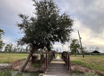 texas/beaumont/attraction/tyrrell-park-nature-center