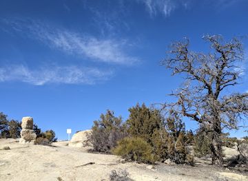 new-mexico/farmington/attraction/lions-wilderness-park