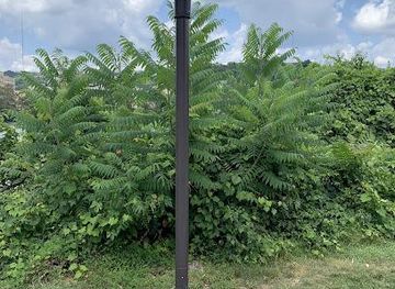 pennsylvania/pittsburgh/attraction/strip-district-trail