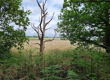 united-kingdom/southwold/attraction/suffolk-coast-national-nature-reserve