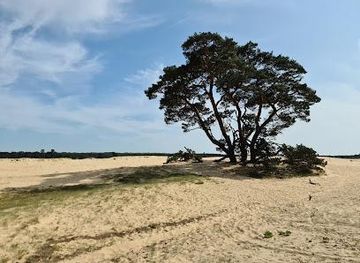 netherlands/utrecht/attraction/het-nationale-park-de-hoge-veluwe