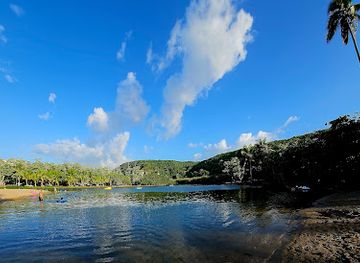 puerto-rico/isabela/attraction/arbol-de-la-vida