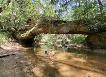 kentucky/eastern-mountain-coal-fields/attraction/creation-falls