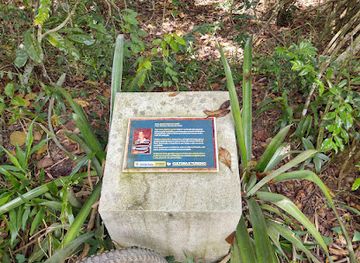 brazil/zona-da-mata/attraction/mata-do-sero