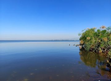 kenya/lake-victoria/attraction/kenya-wildlife-impala-park