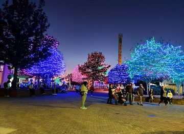 south-carolina/fort-mill/attraction/winterfest