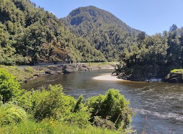 new-zealand/greymouth/attraction/west-coast-scenic-taste-tour