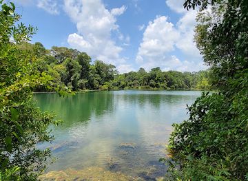 singapore/macritchie-reservoir/attraction/macritchie-nature-trail