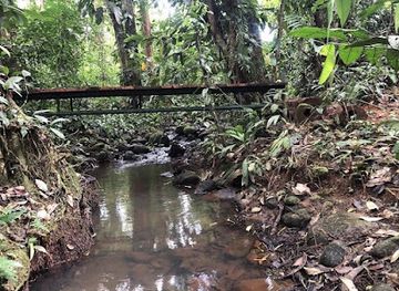 costa-rica/sarapiqui/attraction/sarapiqui-xperience