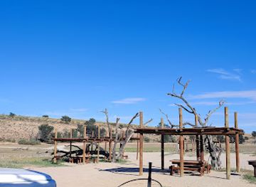 south-africa/kgalagadi-transfrontier-park/attraction/kamqua-picnic-site-kgalagadi-transfrontier-park