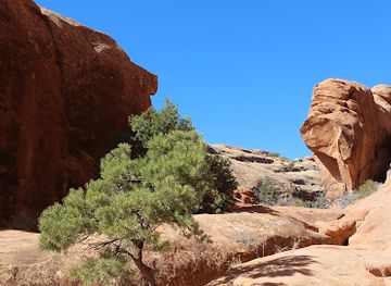 utah/arches-national-park/attraction/wall-arch