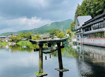 japan/yufuin/attraction/tenso-jinja-no-sugi