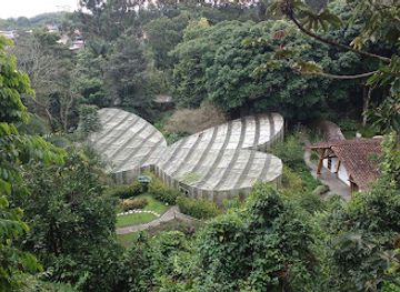 colombia/quindio-department/attraction/quindio-botanical-garden