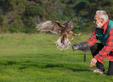 new-zealand/timaru/attraction/the-raptor-experience