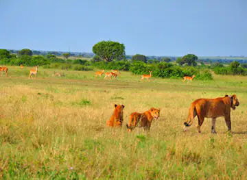 Queen Elizabeth national Park Uganda