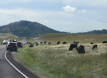 south-dakota/custer-state-park/attraction/wildlife-station-visitor-center
