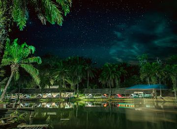 tanzania/usambara-mountains/attraction/magoroto-forest-estate