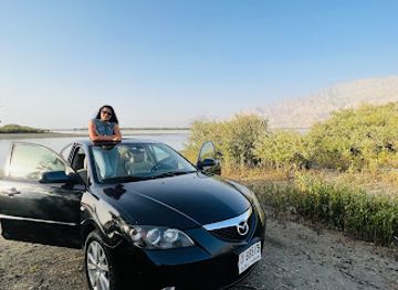 united-arab-emirates/ras-al-khaimah/attraction/rak-mangroves