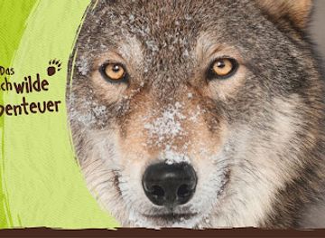 germany/pomerania/attraction/wildpark-mv