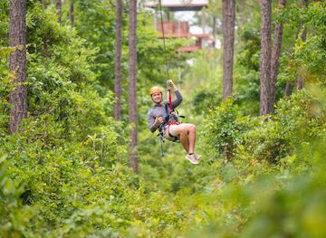alabama/cotton-bayou/attraction/the-hummingbird-zipline-course