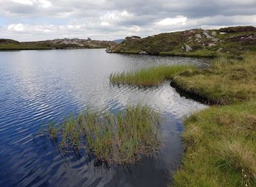 ireland/wicklow-mountains/attraction/lough-firrib