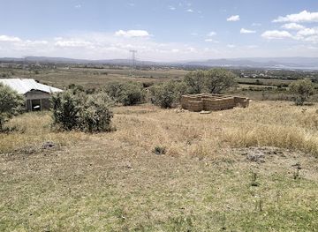 kenya/naivasha/attraction/camp-longonot-view