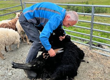 united-kingdom/shetland/attraction/shetland-rural-experience-centre