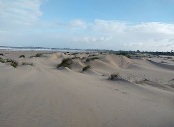 kenya/malindi/attraction/ocean-beach-sand-dunes