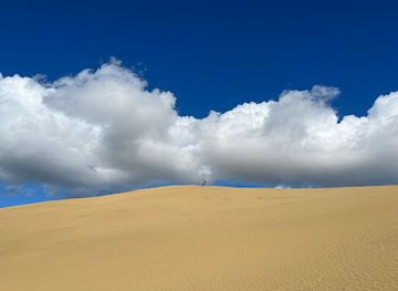 new-zealand/northland/attraction/ahipara-sand-dunes
