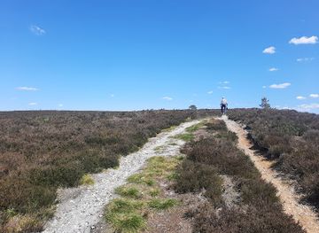 denmark/central-jutland/attraction/isenbjerg-bakkeo-geodatisk-malepunkt