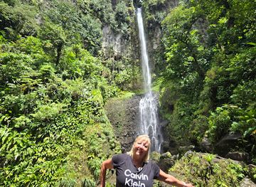dominica/saint-david/attraction/middleham-falls-trailhead