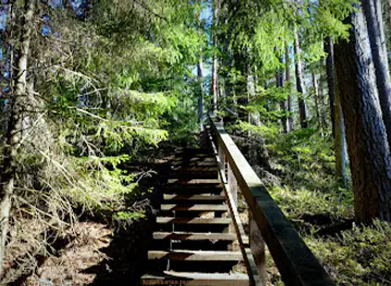 Kokonharju Old-growth Forest