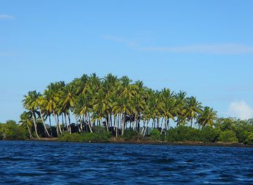 madagascar/masoala-national-park/attraction/cap-baldrisy