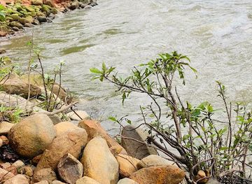 malaysia/taman-negara-national-park/attraction/lubuk-syukur