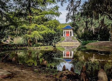Jungle Gardens