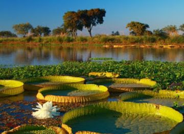 argentina/litoral/attraction/islas-santa-fe-national-park